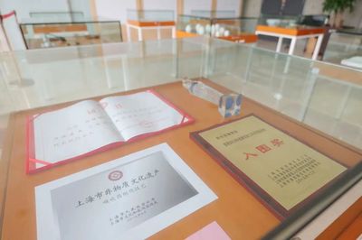 浦东传统中医药特色项目系列展在浦东图书馆举办 现代医药咨询与经典传承的交汇